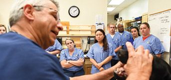 image of vet and students examining dog