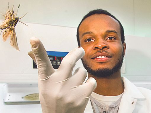 biochemistry student releasing moth